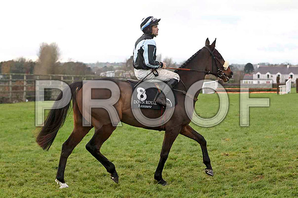 On Gossamer Wings , Jockey R C Colgan - Unseated Rider - FT8E4870-e