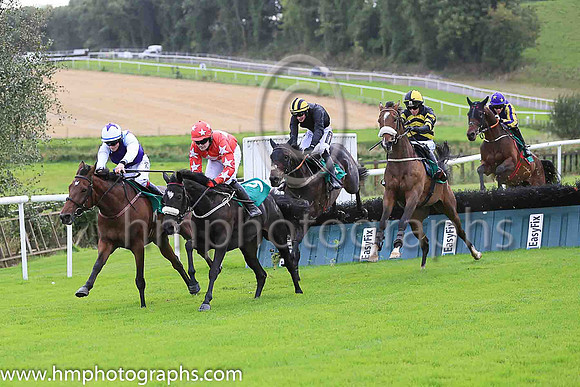 01st Sir Raston and N P Madden ( 3 , black and yellow chevrons ) Trainer - D K Weld , Owner - Calumet Farm