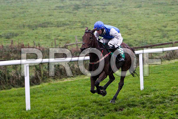 Casoran , 9th, Jockey - Mr D A Fitzsimmons - FT8E5581-e