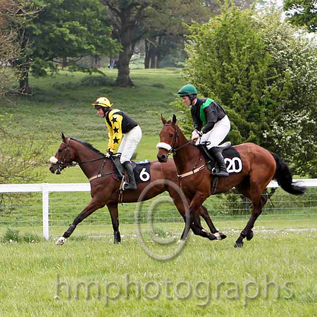 Festival Bound, PU, Jockey D L Queally & Witness For Paddy , PU, Jockey ? -  CU2D4813-e
