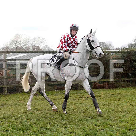Archies Lad , Jockey A E Lynch - 9th  - FT8E4873-e
