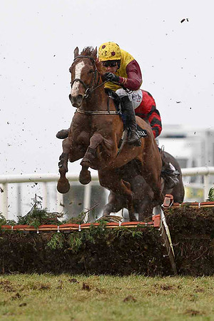 Prince of Edwards 6th, Jockey Anfrew J McNamara - CU2D3235-e