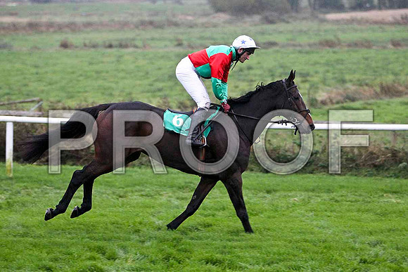 Macra Na Feirme , 3rd - Jockey J L Culllen - FT8E5448-e
