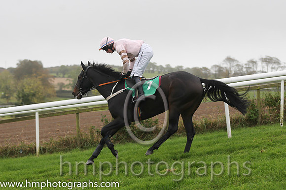12 Thornfield and M P Fogarty - F - 12th (7 ,Pink, brown hoops on sleeves ) Trainer - D McDonogh