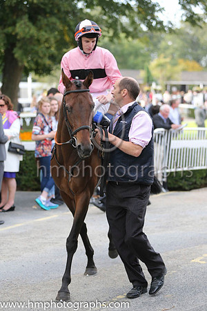01 Toe The Line and F M Berry - - 01st (9 ,pink, black hoop ) Trainer - J E Keily
