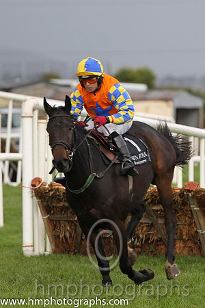 01 Gilt Shadow & Mr S Crawford - winner (1, orange, royal blue star) - FT8E0284-8