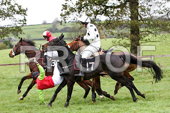 P N O'Brien Jockey of Boston Lord tumbling to the ground -FT8E5652-e2