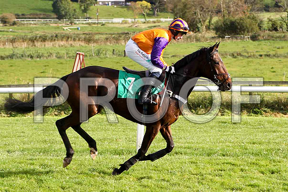 Rory's sister , Jockey R Loughran - 4th - FT8E4421-e