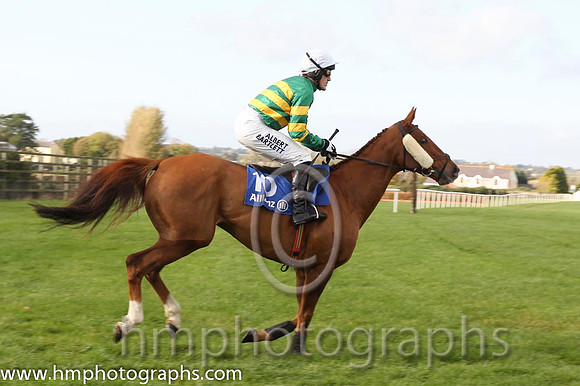 16 Dear Boss & A P McCoy - 16th (10, emerald green and orange hooped) - CU2D8919-28