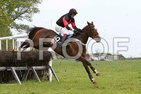 Maypole Dancer, Unplaced, Jockey C Cully - FT8E2521-e