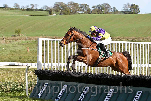 The Amarillo Kid & P Townend - Winner (3, purple and yellow quartered) - FT8E3204-e