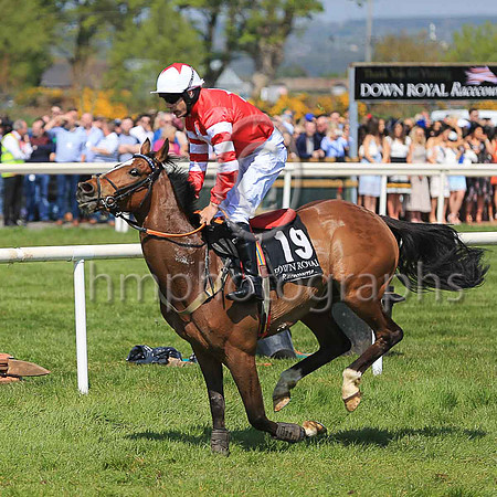 12th Oromo and R C Colgan ( 19 , red, white star ) Trainer - K Thornton , Owner - B Parker