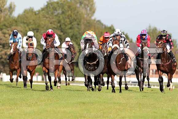 Race for sccond place -CU2D9521-e