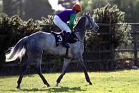 Derrinlanna PU, Jockey A P Crowe- FT8E0987-e
