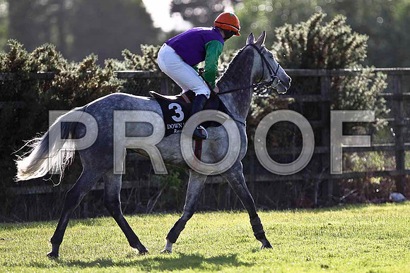 Derrinlanna PU, Jockey A P Crowe- FT8E0987-e