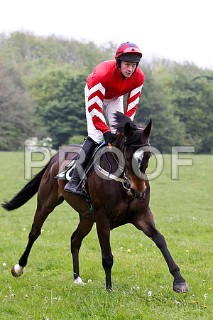 Traad Bay, 4th, Jockey - W Thompson - FT8E2627-e