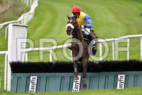 High Talk 5th, Jockey P D Kennedy - FT8E1738-e