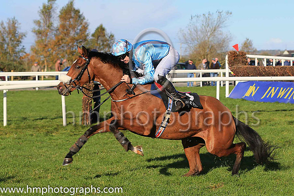 o6th Zig Zag and J S McGarvey ( 7 , light blue, grey braces ) Trainer - Joseph P O?Brien , Owner - Annus Mirabilis Syndicate