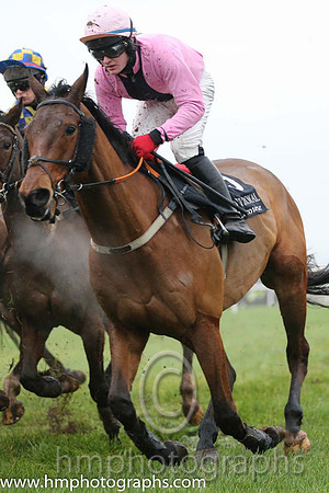 04 Rebel Cry and Kevin Sexton - - 04th (5 ,pink, black panel ) Trainer - Norman Lee