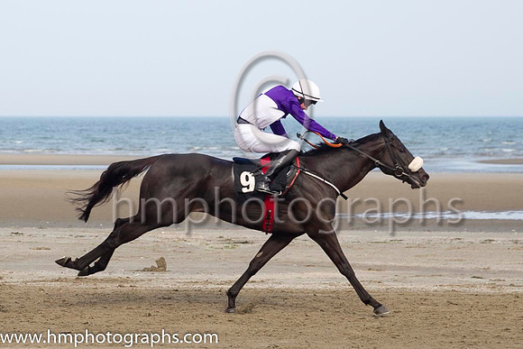 1 Sister Slew and J P O'Brien - - 1st (9 ,purple and white qtrd ) Trainer - Gordon Elliott