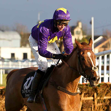 Tresilian 12th, Jockey E Mullins -FT8E9938-e