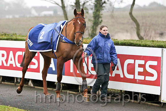 Gris Lord 3rd, Jockey Mr C Cully - CU2D2119-e