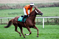 Nuggets of Wisdom , 3rd - Jockey A P Thornton - FT8E5267-e