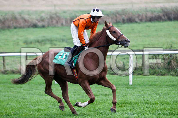 Nuggets of Wisdom , 3rd - Jockey A P Thornton - FT8E5267-e