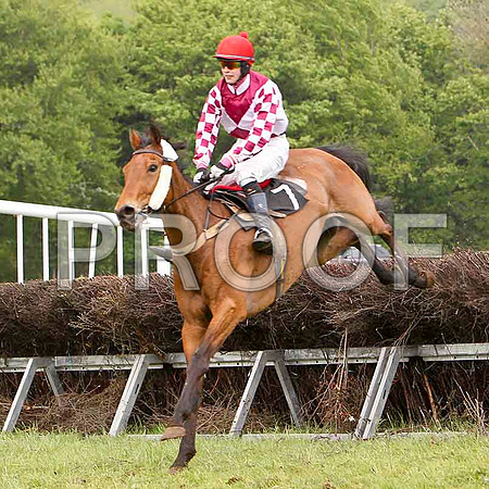Im A Witness, Unplaced, Jockey J J Slevin - FT8E2548-e