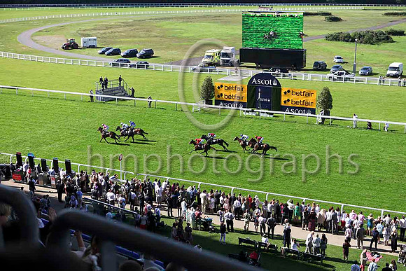 R5 Dalkova & R Hughes - Winner (1, royal blue, red chevrons) - IMG_9980-e
