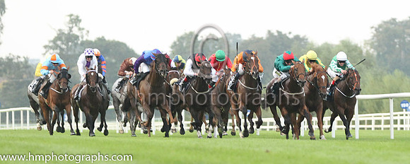 01 Baraweez and C O'Conoghue - - 01st (12 ,orange, dark blue disc ) Trainer - B Ellison