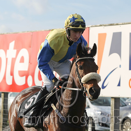 04 Little King Robin & M P Walsh - 4th (5, royal blue and yellow halved ) - FT8E9957