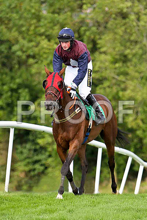 Box Breaker , 6th Jockey K H Clarke- CU2D1757-e