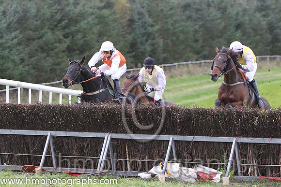 01 Whats Left & J J Codd - winner (16, white, red sash) - FT8E0869-35