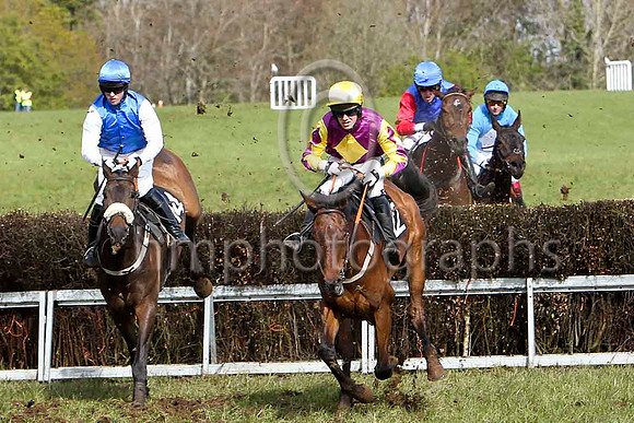 Ivanor Boy (14 royal bluewhite sleeves) & D A Fitzsimmons - PUFT8E2392-e