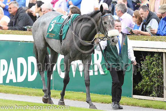 08 Chinese Light and P J Smullen - - 08th (3 ,black and white hoops ) Trainer - D K Weld