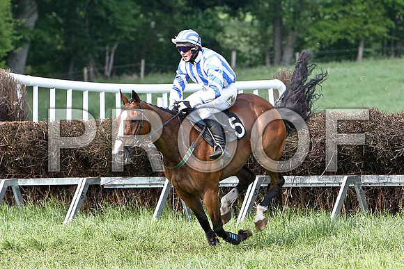 Fifth Race Div 2 - Connie de Mar (5) 3rd, Rider B G Crawford- CU2D9731-e