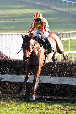 The Book Thief  5th, Jockey P T Enright - FT8E0522-e