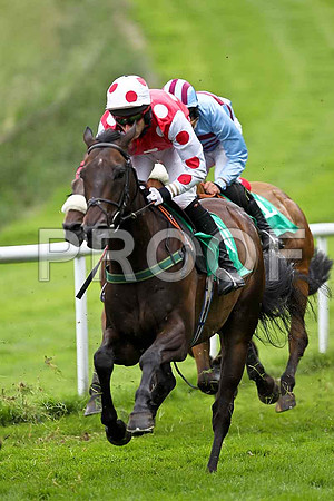 Breeze with Ease 3rd, Jockey E J O'Connell & Alamiyan 10th, Jockey R C Colgan - FT8E1664-e