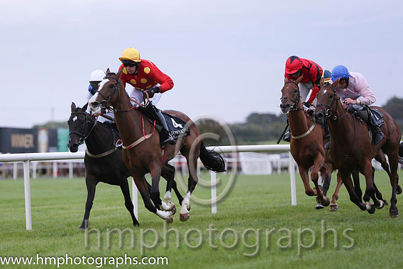 01 Our Sox and Mr S Clements - - 01st (4 ,red, yellow stars ) "