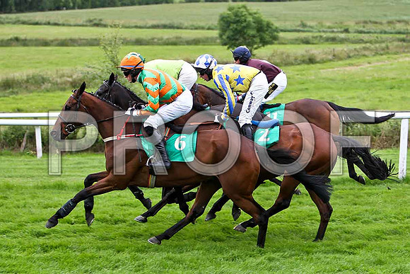 Korean (6) 6th, Jockey S J Hassett - CU2D0925-e