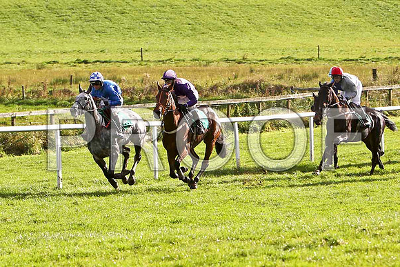 Naomh Moling , Allys Bubble & Uncommitted (Winner) - CU2D9251-e