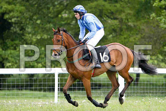 Indiana Joe , 7th, Jockey - B T Dunning - FT8E2386-e
