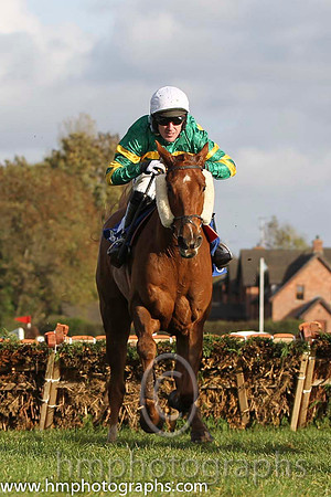 16 Dear Boss & A P McCoy - 16th (10, emerald green and orange hooped) - FT8E9941-64