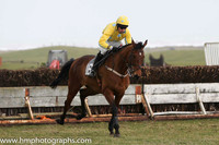 07th PU Super Scorpion ( 16 ) M J Lynch - Trainer: Mark L Fagan - yellow, blue spots
