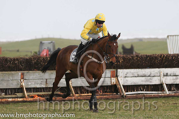 07th PU Super Scorpion ( 16 )  M J Lynch - Trainer: Mark L Fagan - yellow, blue spots