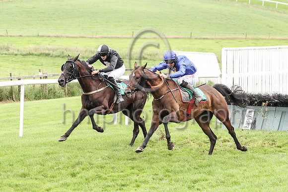 01st Give Him Time and D N Russell ( 5 , blue, yellow stags head ) Trainer - G Elliott , Owner - Gordon Elliott