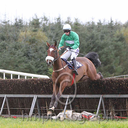 06 OneHellOfANiceGuy & David Joseph O'Leary - 6th (13, emerald green, white hoop) - FT8E0611-48