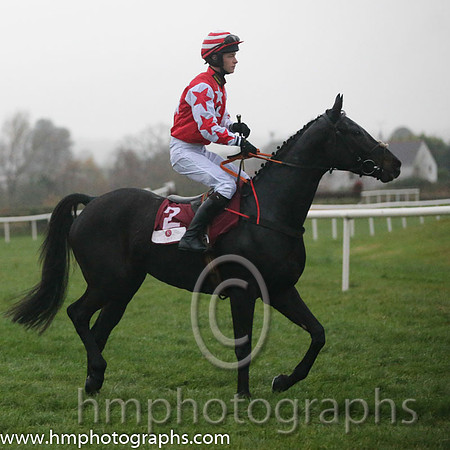 04 Black Zambezi and Mr D J Mullins - - 04th (2 ,red, white stars ) Trainer - Colm A Murphy