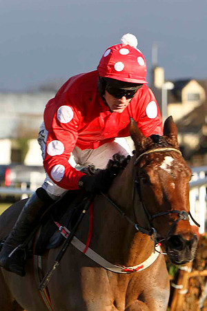 William Wordsworth 11th, Jockey M Darcy - FT8E9936-e